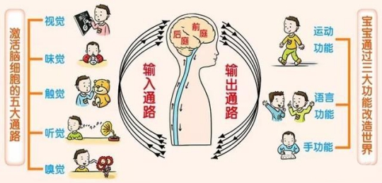 感統(tǒng)失調(diào)是個什么鬼？