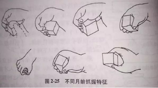 兒童發(fā)育遲緩康復訓練——小兒腦癱的作業(yè)療法訓練